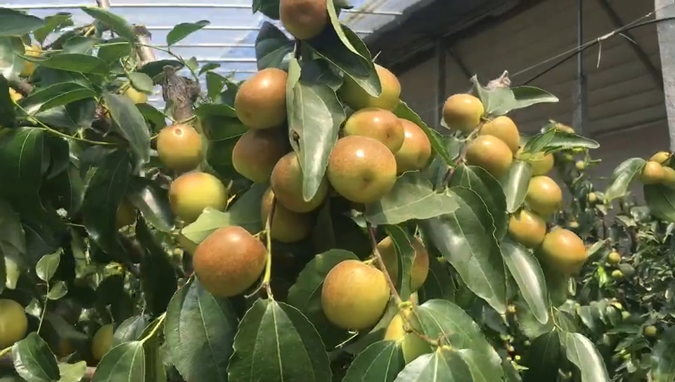 產品視頻